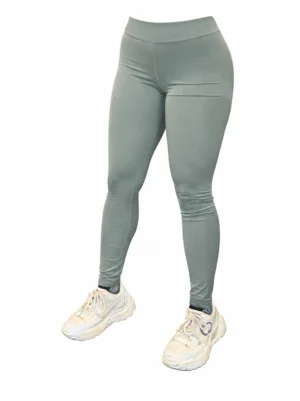 Slate Grey women Activewear legging