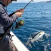 Saltwater Power Combo: Classic Daiwa BG90 Spinning Reel & 11'9" Penn Power Stick Surf Rod