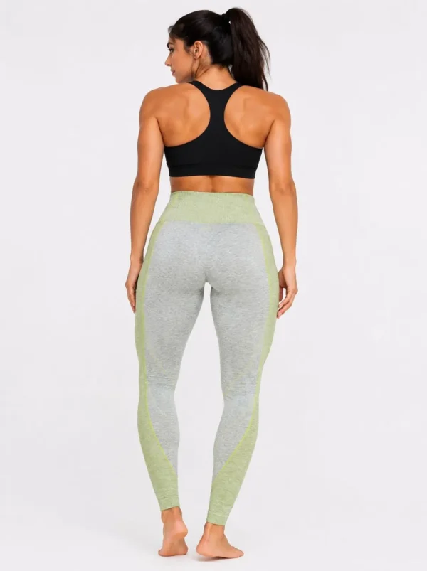Original Gymshark Vital Sculpt Seamless High-Waist Leggings – Sage Grey/Lime Medium